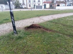 Andaram a fazer piões no relvado (c/ fotos) rali pioes 811659888 5523814793566854214 n