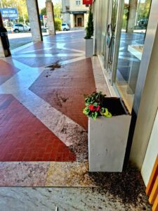 Fim de semana marcado por vandalismo na cidade vandalismo 807314905 4163512594590351165 n