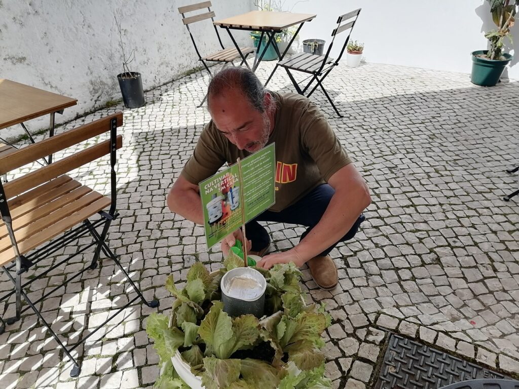 Artesão horticultor divulga como cultivar na vertical (c/ vídeo) cristiano gandra IMG 20230329 133823
