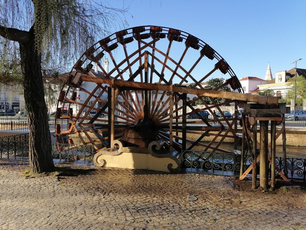 roda mouchao IMG 20230407 082514