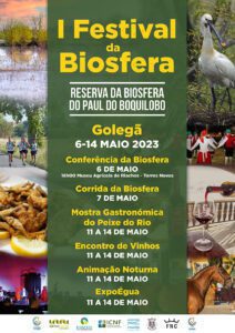 Agenda para o fim de semana 6 5 12437 1461286690967140129 n
