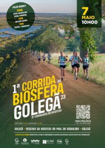 Agenda para o fim de semana 7 5 99521725 6852249860226529354 n