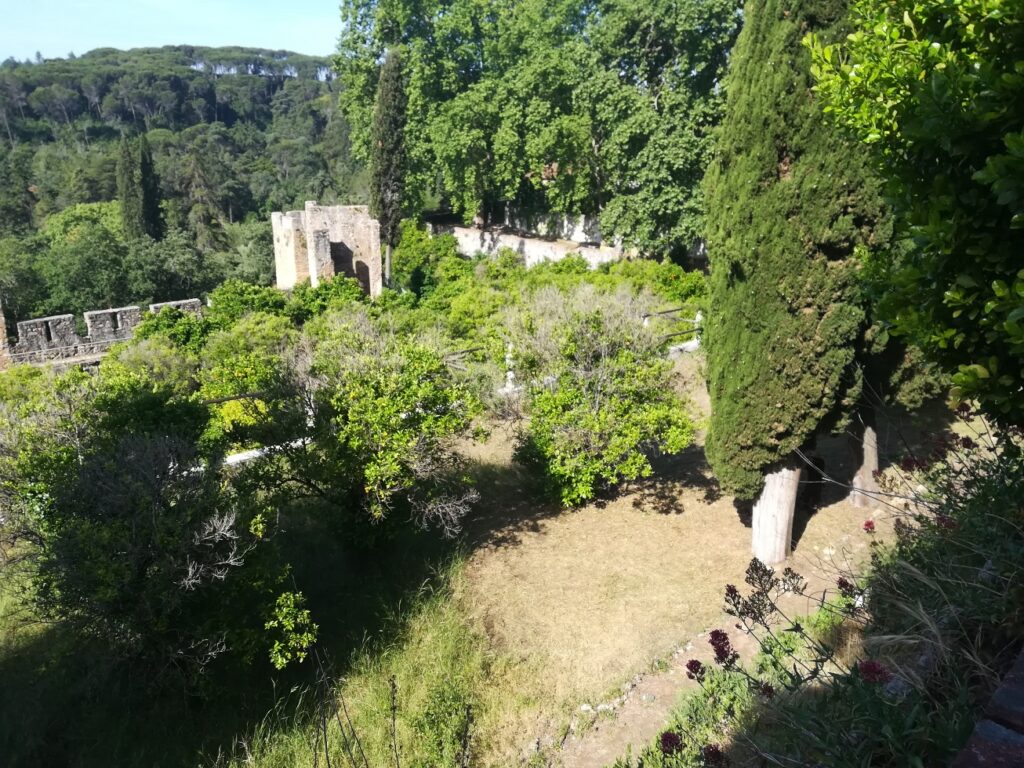 IMG 20230507 095506