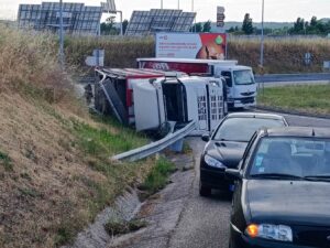 Camião carregado de porcos despista-se junto à zona industrial de Tomar acidente 342197144 6965517112160338540 n