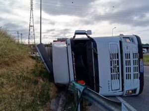 Camião carregado de porcos despista-se junto à zona industrial de Tomar acidente 746339230 5351071683131831172 n