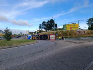Camião carregado de porcos despista-se junto à zona industrial de Tomar acidente 835557464 8843849960824115775 n