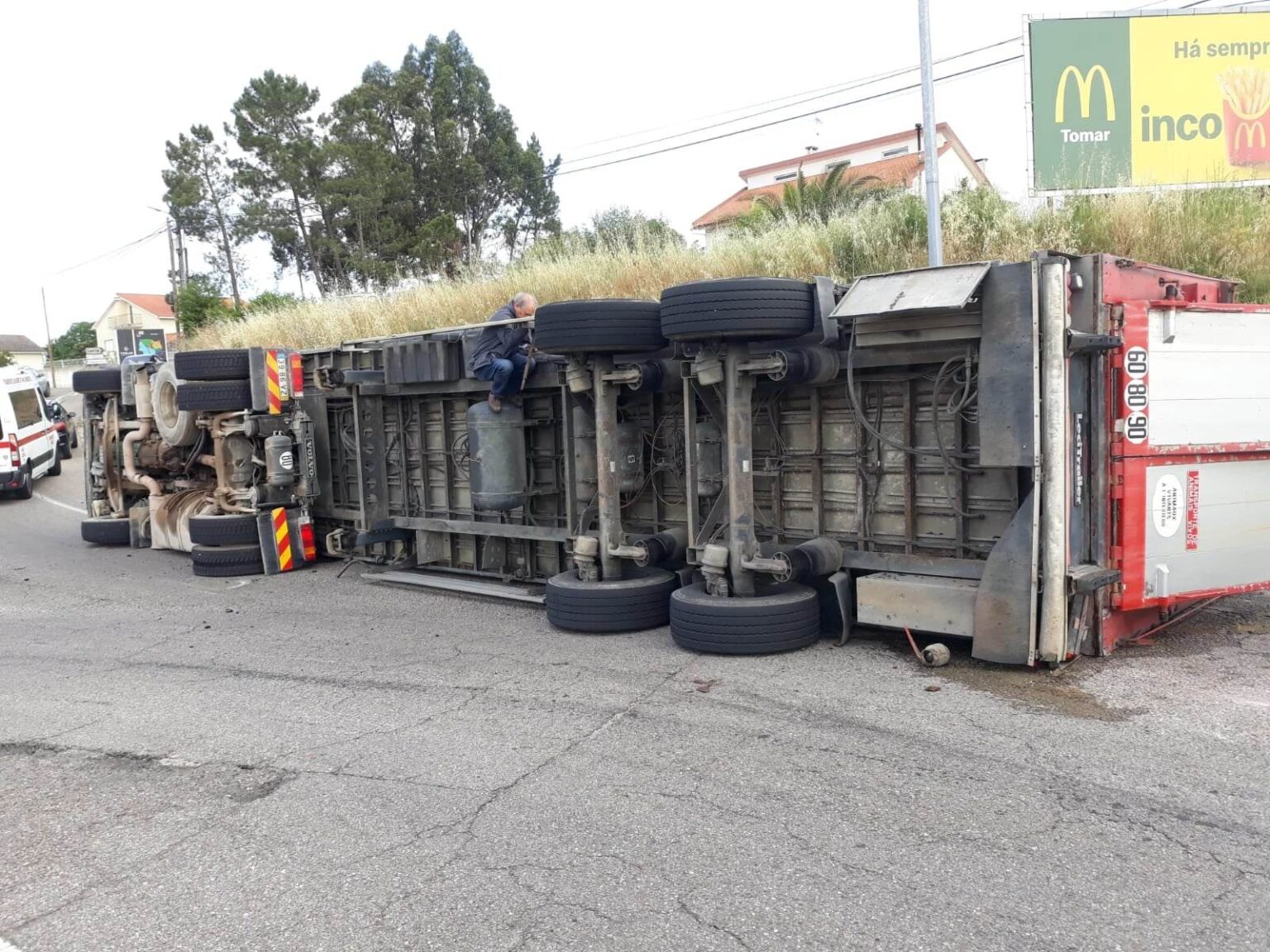 Camião carregado de porcos despista-se junto à zona industrial de Tomar despiste 510095071 5699454738640245783 n