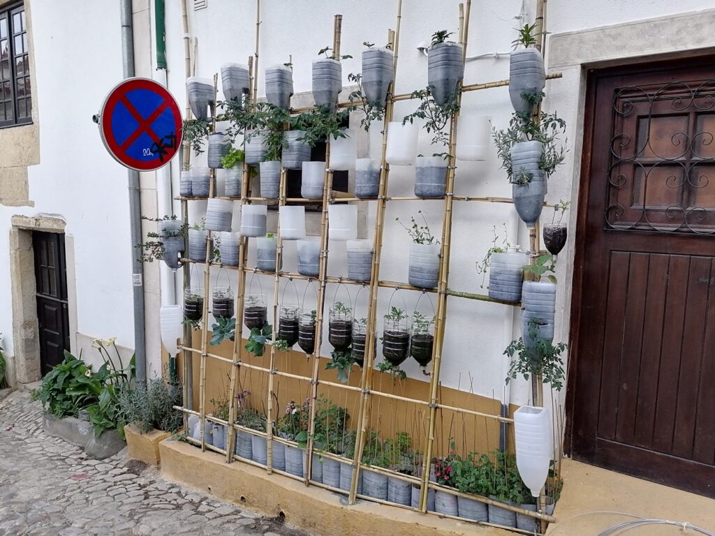 Uma horta vertical no centro histórico de Tomar horta IMG 20230525 184225