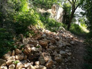 Mata dos Sete Montes: não há data para a reconstrução do muro que caiu mata IMG 20230507 094341