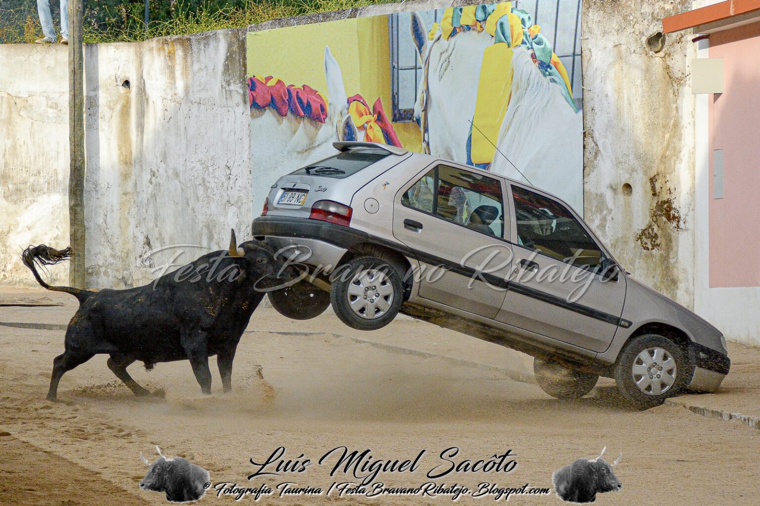 Toiro levanta carro de 885 kg (c/ vídeo) toiro 1727786090 6277557860535822638 n