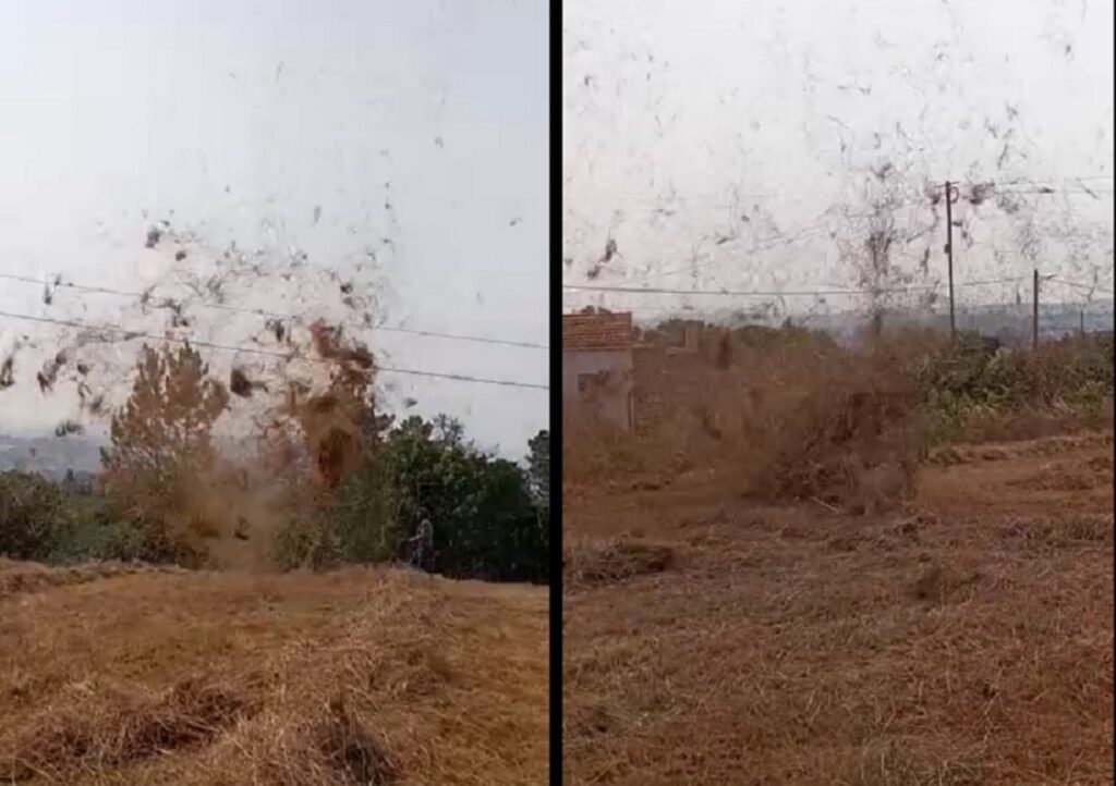 Redemoinho de vento leva palha pelos ares (c/ vídeo) vento