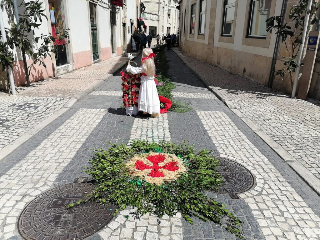 IMG 20230611 113336