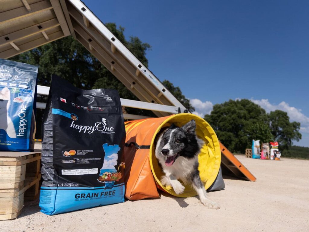 cao racao coloquio agility4