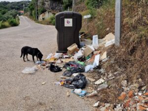 Lixo espalhado junto à ponte do Prado lixo 733546382928 2256637662317921414 n