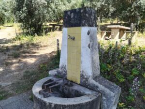 Mata dos Sete Montes: casas de banho fechadas e bebedouros sem água mata IMG 20230604 105451
