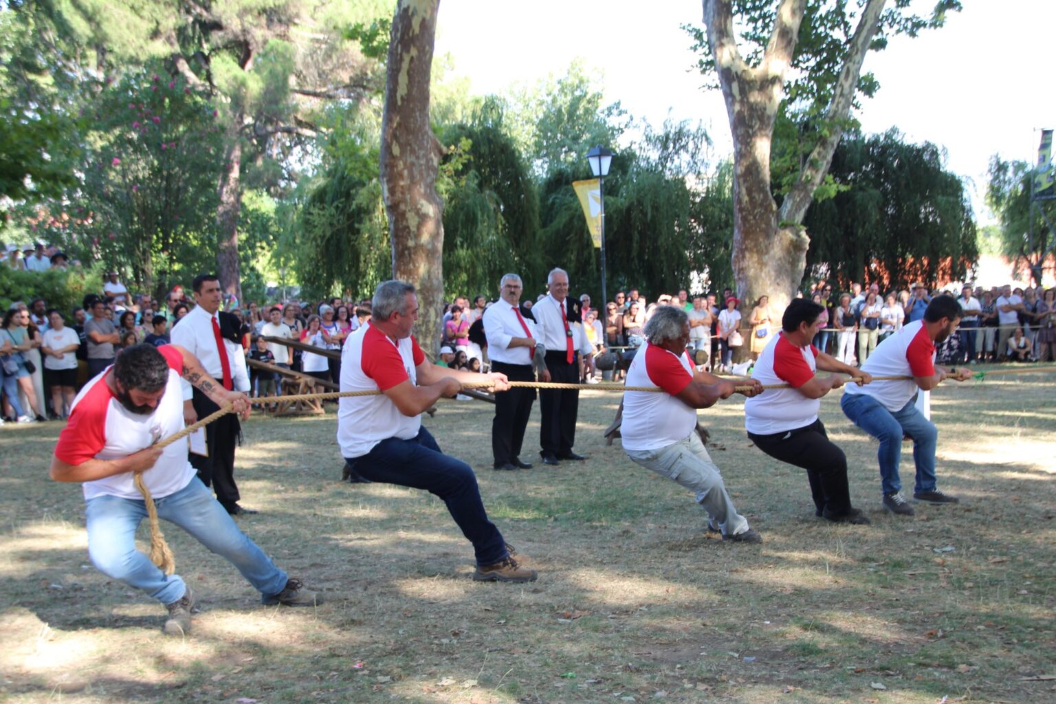 jogos populares TomarLugar Portugal 602709190 2901459896076728991 n