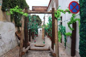 As melhores imagens das ruas ornamentadas ruas ornamentadas 2023 IMG ruas ornamentadas 2023 20230706 WA0000