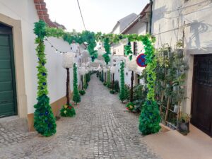 As melhores imagens das ruas ornamentadas ruas ornamentadas 2023 IMG 20230706 070501