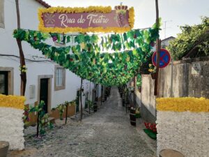 As melhores imagens das ruas ornamentadas ruas ornamentadas 2023 IMG 20230706 070536