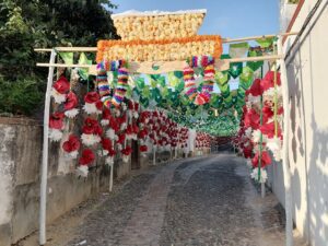 As melhores imagens das ruas ornamentadas ruas ornamentadas 2023 IMG 20230706 070540