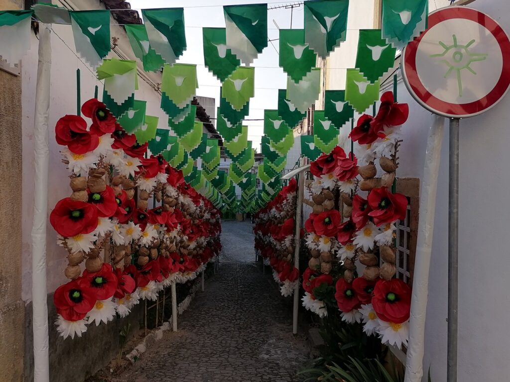 As melhores imagens das ruas ornamentadas ruas ornamentadas 2023 IMG 20230706 070601
