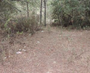 Desrespeito Histórico e Ambiental: A Inaceitável Lixeira a Céu Aberto no Complexo dos Templários 11