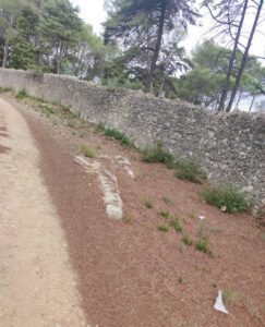 Desrespeito Histórico e Ambiental: A Inaceitável Lixeira a Céu Aberto no Complexo dos Templários 2
