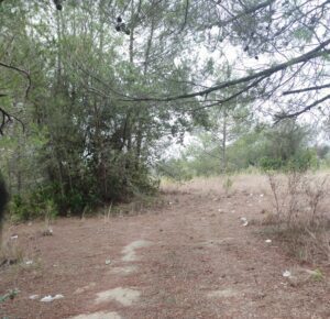 Desrespeito Histórico e Ambiental: A Inaceitável Lixeira a Céu Aberto no Complexo dos Templários 3