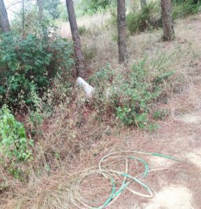 Desrespeito Histórico e Ambiental: A Inaceitável Lixeira a Céu Aberto no Complexo dos Templários 4