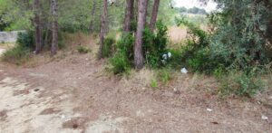 Desrespeito Histórico e Ambiental: A Inaceitável Lixeira a Céu Aberto no Complexo dos Templários 6