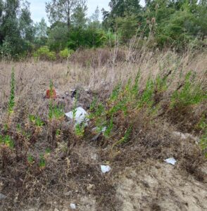 Desrespeito Histórico e Ambiental: A Inaceitável Lixeira a Céu Aberto no Complexo dos Templários 7