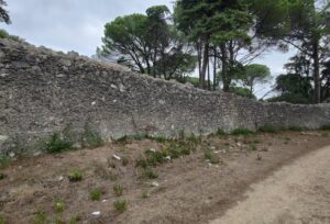 Desrespeito Histórico e Ambiental: A Inaceitável Lixeira a Céu Aberto no Complexo dos Templários 8 1