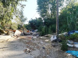 Demoliram barracas mas animais ficaram abandonados no Flecheiro (c/ vídeo) Flecheiro IMG 20230806 091755