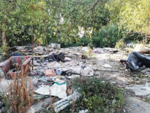 Demoliram barracas mas animais ficaram abandonados no Flecheiro (c/ vídeo) Flecheiro IMG 20230806 092017