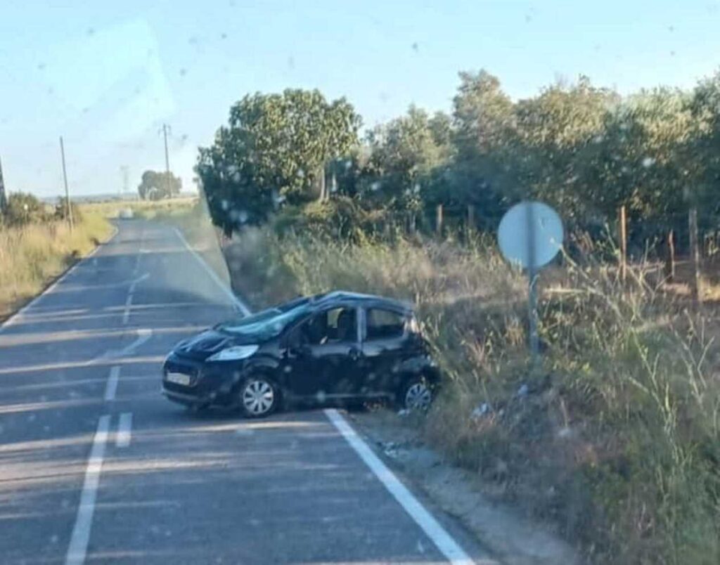Mais um acidente na estrada N365 – Entroncamento/Golegã acidente 84403301 3948772955769127880 n