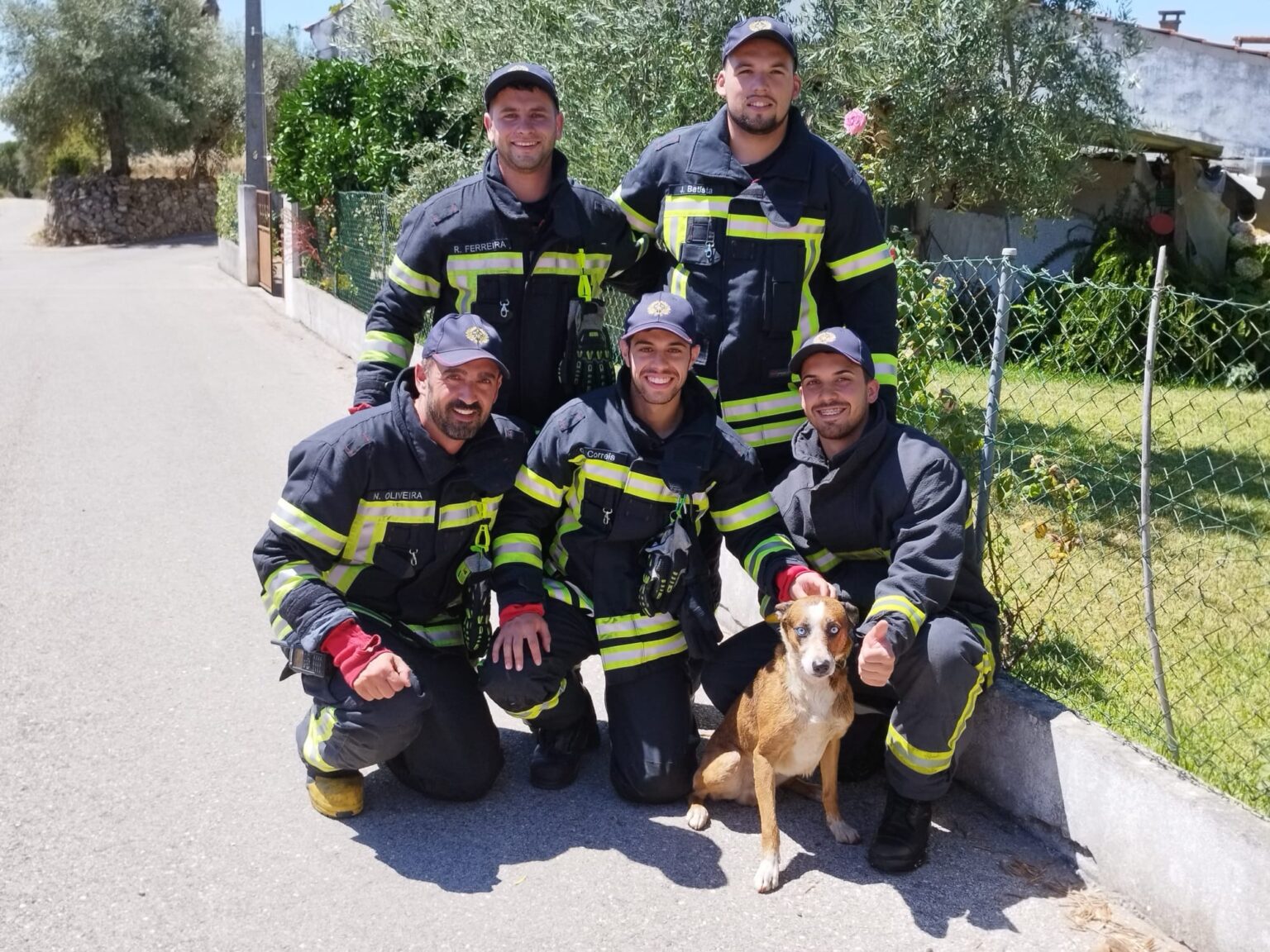 Bombeiros salvam cão que caiu num poço bombeiros cao 04388652 4353009780888291315 n