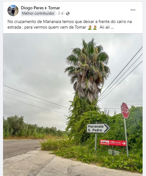 Ervas impedem visibilidade na EN110 en110