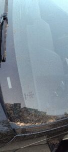 Carros ficam sujos depois de passar soprador e varredora ervas 31578272668677 2148505946709008141 n