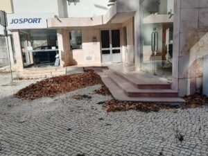 folhas IMG 20230827 092000