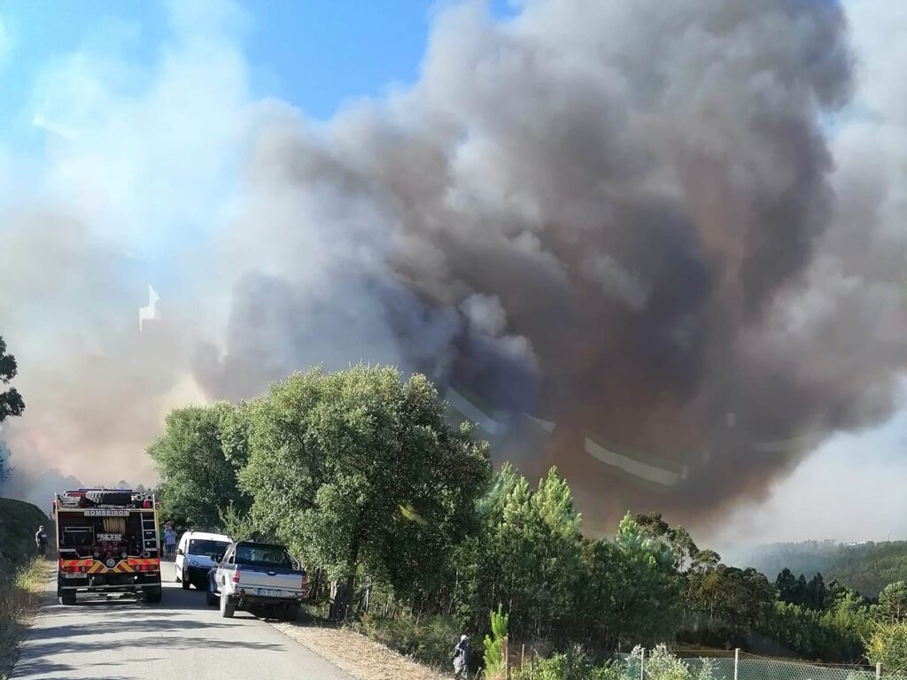 Mais de 1500 bombeiros combatem incêndios em Ourém e Castelo Branco (c/ vídeos) incendio 439 5983980548726884970 n