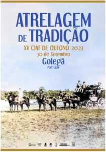 Agenda para o fim de semana 30 9 338863796088 6093132935723419976 n