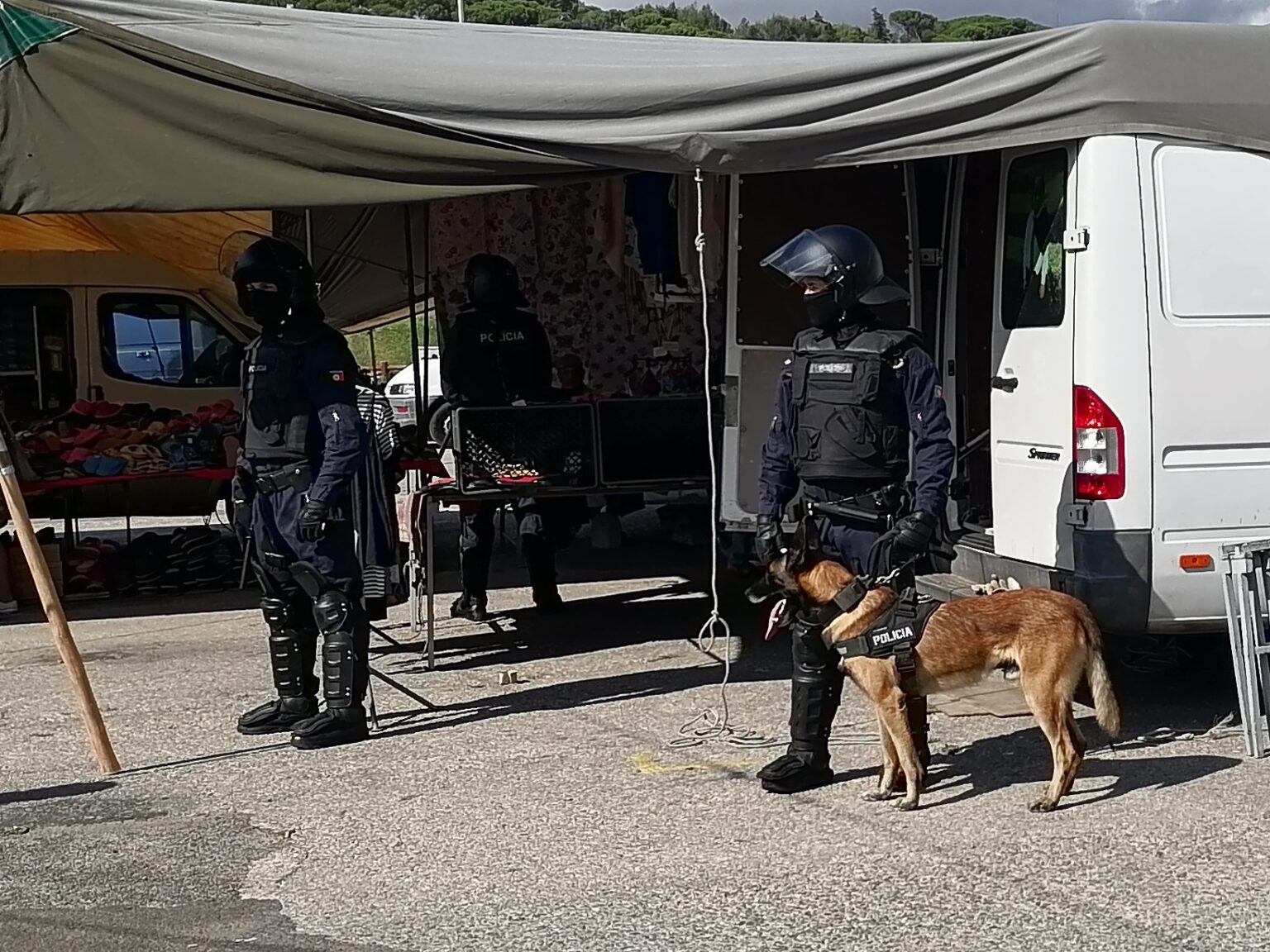 Operação policial contra a contrafação no mercado semanal de Tomar (c/ fotos e vídeo) psp mercado operacao policia IMG 20230908 104403