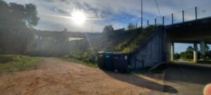 Morador reclama por limpeza de terrenos 20230926 091809