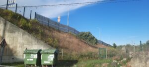 Morador reclama por limpeza de terrenos 20230926 091817