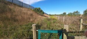 Morador reclama por limpeza de terrenos 20230926 091830