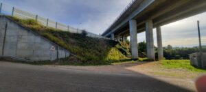 Morador reclama por limpeza de terrenos 20230926 091923