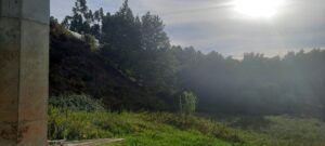 Morador reclama por limpeza de terrenos 20230926 092010