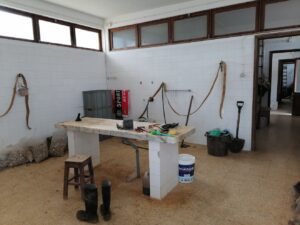 Pelos cemitérios de Tomar cemiterio IMG 20231101 115703