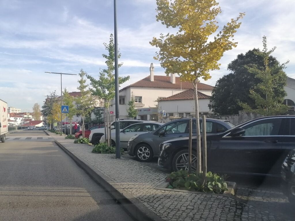Câmara continua a gastar dinheiro num “estacionamento inteligente” que não funciona estacionamento IMG 20231115 152304