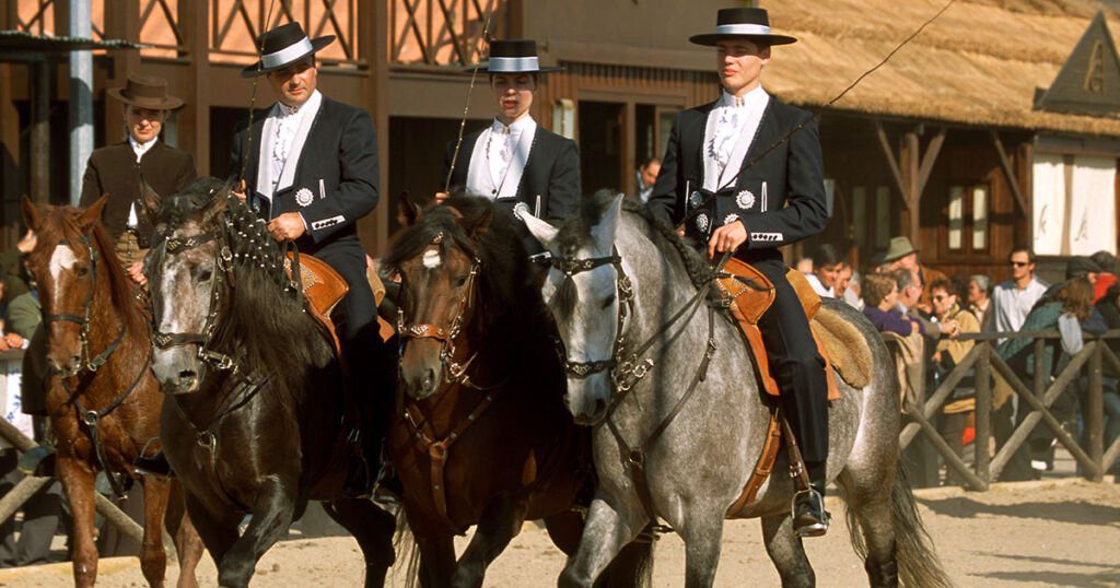 Veja a Feira Nacional do Cavalo online feira cavalo golega 9816110 337305305797514294 n